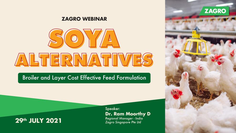 Soya Alternatives